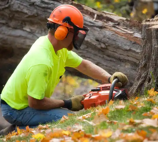 tree services Humboldt